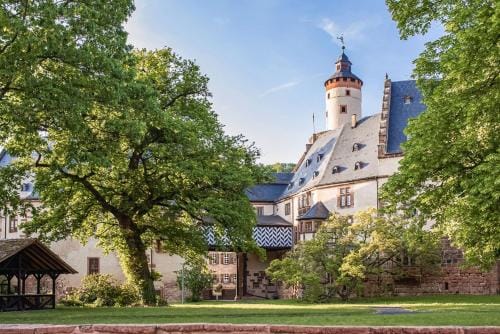Hotel Schloss Budingen Hotel in Hesse