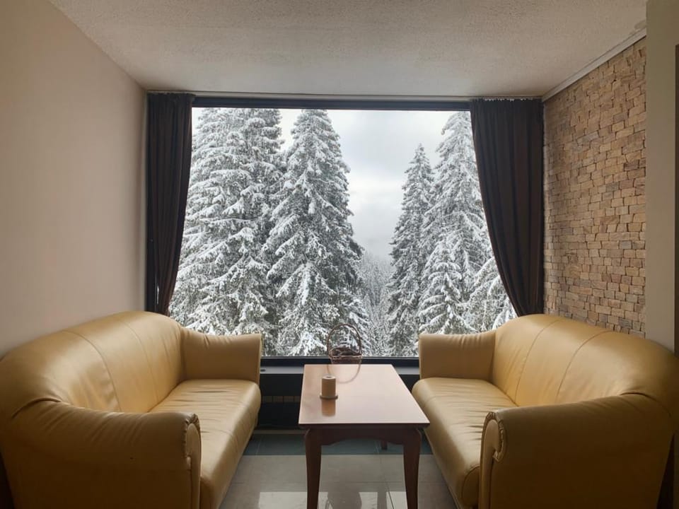 Hotel Kamena Pamporovo Hotel in Decentralized Administration of Macedonia and Thrace