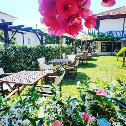 Galini Hotel Agios Ioannis Pelion Hotel in Magnesia Prefecture, Greece