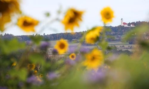 Landgasthof Sonne Hotel in Baden-Württemberg