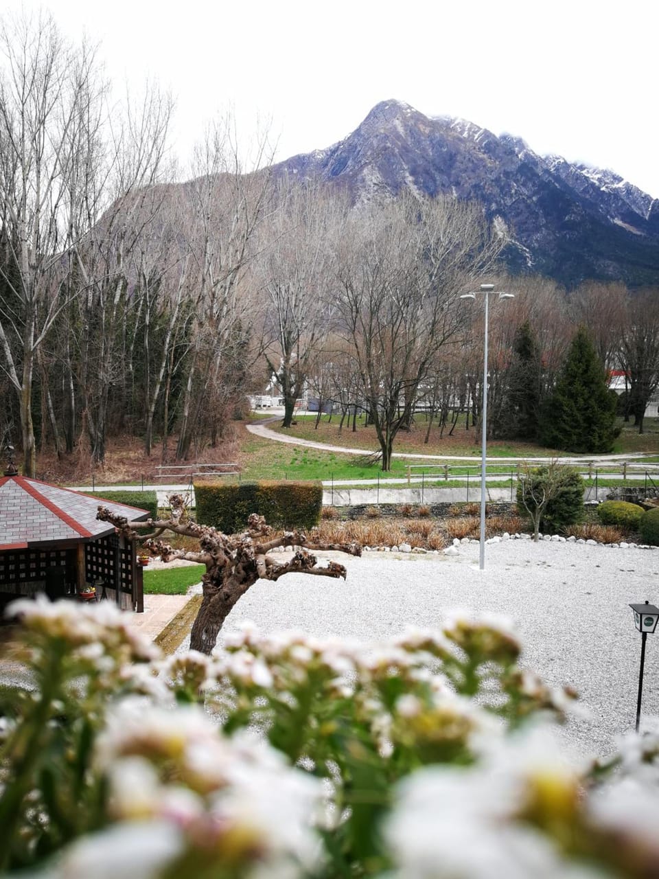 Hotel Willy Hotel in Friuli-Venezia Giulia