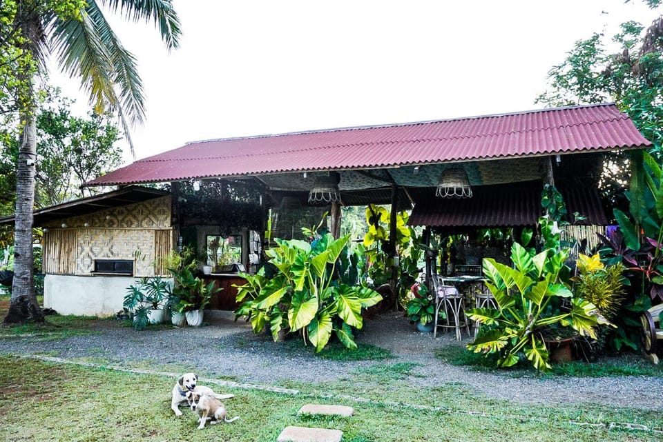 Banlaw Pool and Garden Resort Resort in Puerto Princesa