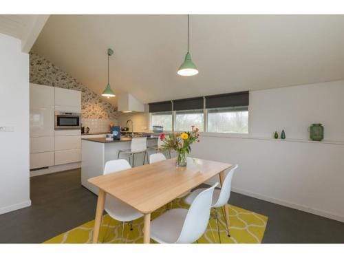 Apartment near the Beach Hotel in Vrouwenpolder