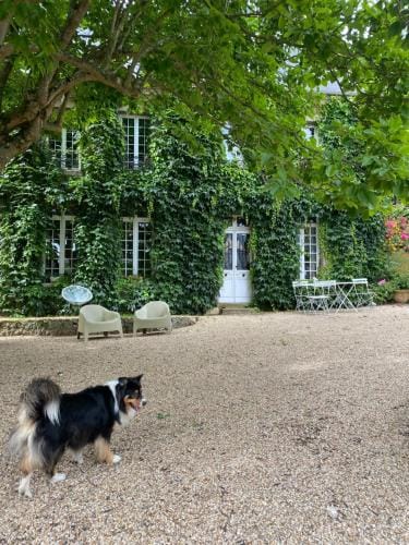 La benjamine Hotel in Normandy