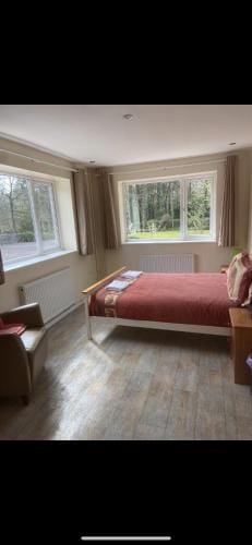 Haven of Trees - Hafan Y Coed Hotel in Wales