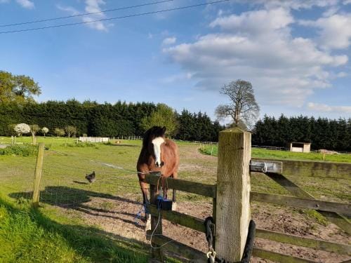 Mile House Barn Bed & Breakfast Hotel in England