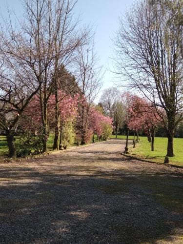 The Wandering Donkey Guest House Hotel in Wicklow, Co. Wicklow, Ireland