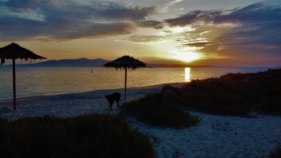 Studios Vrettos Beachfront Hotel Hotel in Naxos, Naxos and Lesser Cyclades, Greece