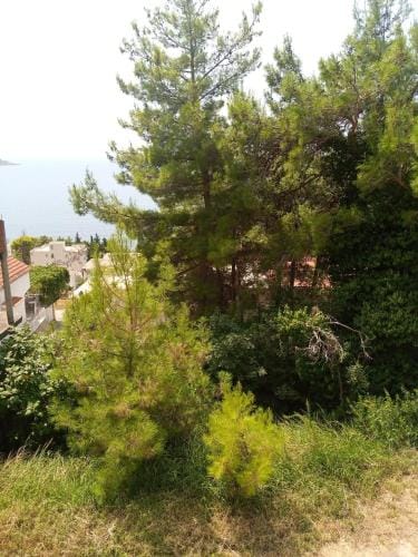 гостевои дом Polina2 Hotel in Montenegro