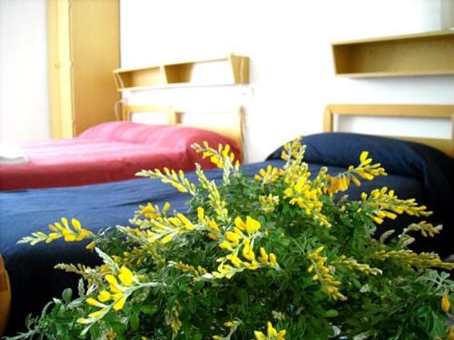 Affittacamere Arcobaleno Hotel in Marche