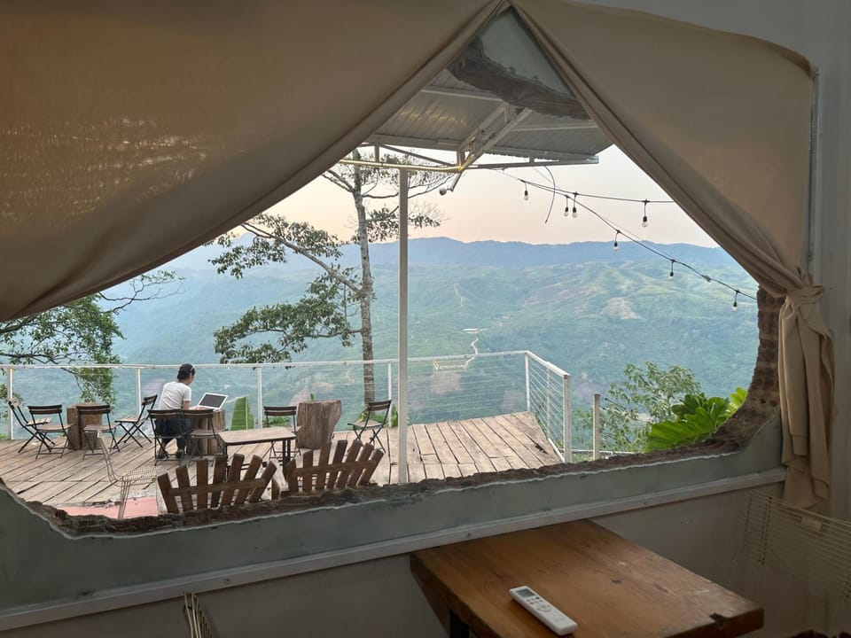 View