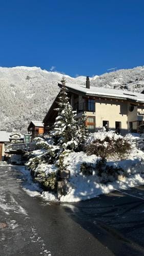 Villa Fleurettes STUDIO Hotel in Bagnes