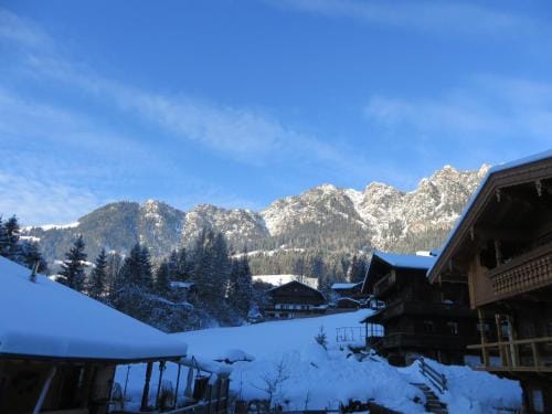 Pension Muhlbachhof Hotel in Alpbach