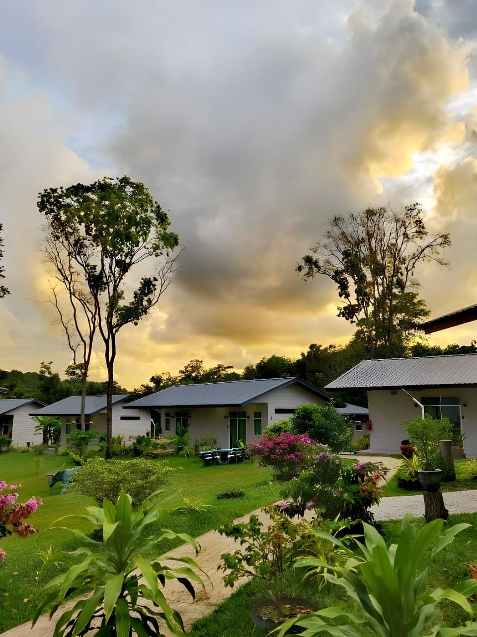 Surrounding environment