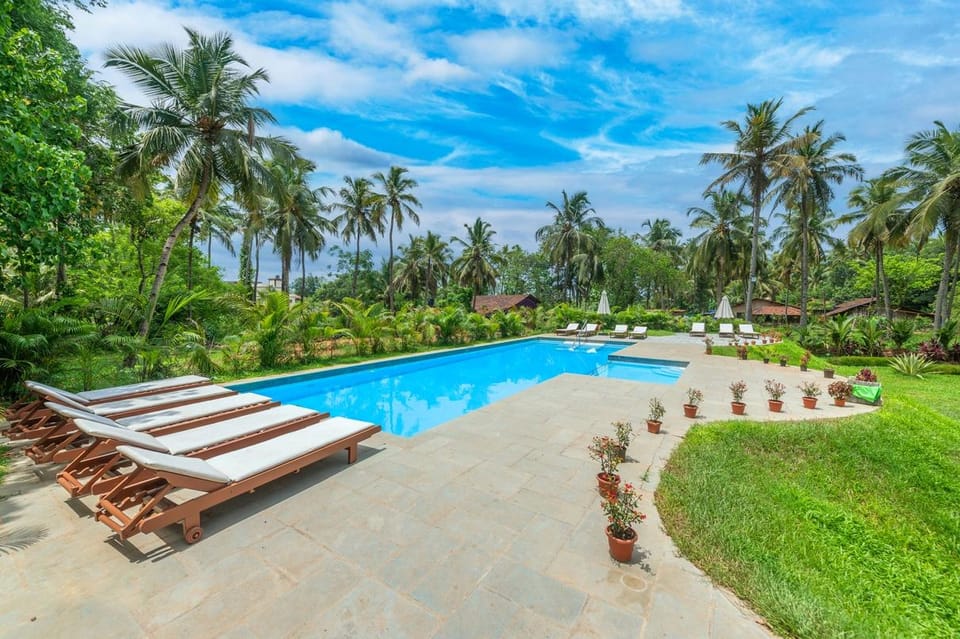Swimming pool [outdoor]