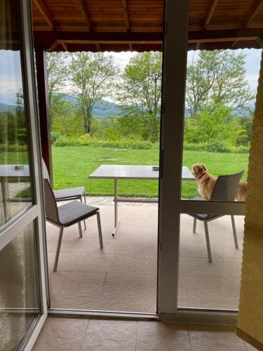 Surrounding environment