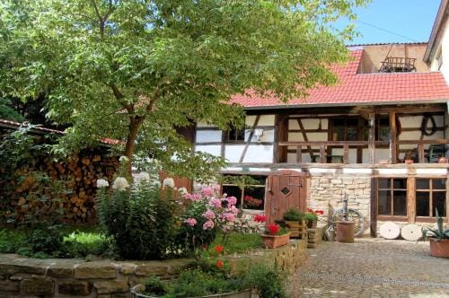 Hotel & Cafe Mohrenbrunnen Hotel in Thuringia, Germany