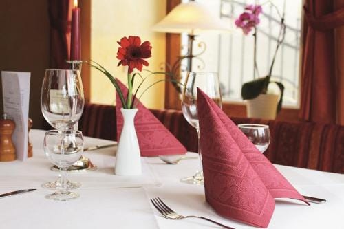 Moselhotel Lesura Hotel in Bernkastel-Kues