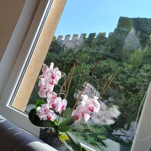 Rose Apartment Hotel in Federation of Bosnia and Herzegovina