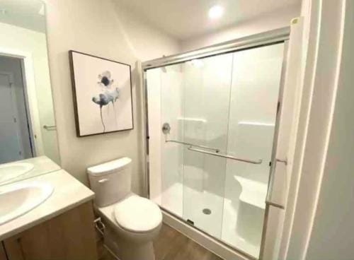 Perfect Brand New Studio Downtown Sidney Hotel in Sidney