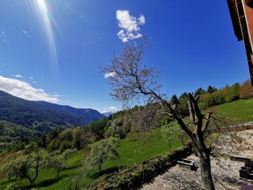 B&B Chalet Dolomiti Hotel in Trentino-South Tyrol