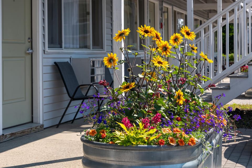 Bar Harbor Villager Motel - Downtown Motel in Acadia National Park