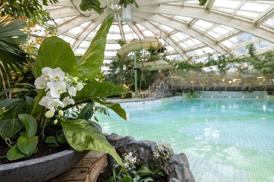 Center Parcs De Huttenheugte Hotel in Dalen