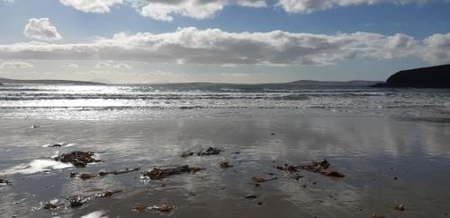 Cherry blossom Erris Hotel in County Mayo