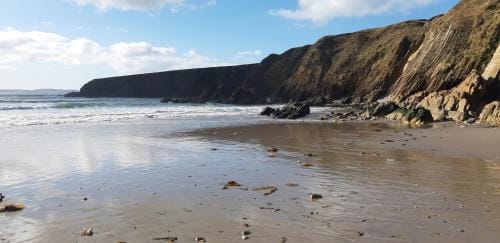 Cherry blossom Erris Hotel in County Mayo