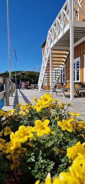 Nyvågar Rorbuhotell  - by Classic Norway Hotels Hotel in Lofoten