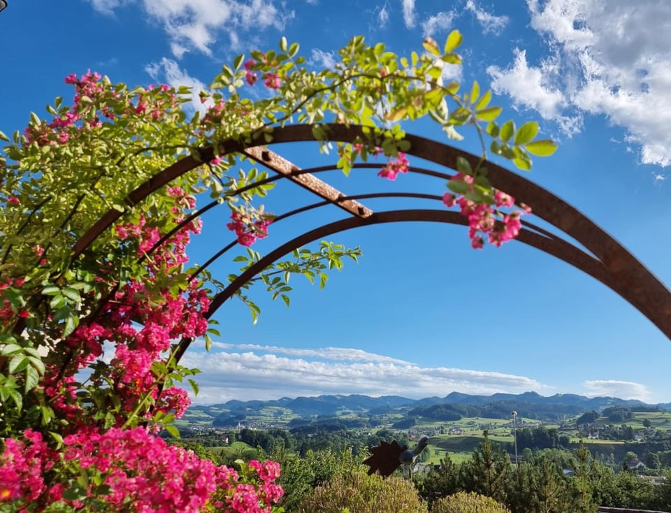 BnB Alpenblick Hotel in St. Gallen, Switzerland