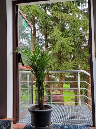 Zwei Hirsche Lodge in Seefeld