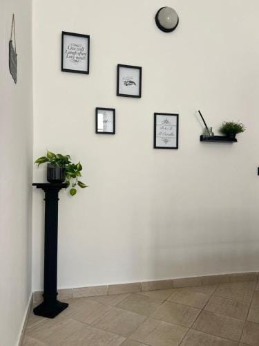 B&B Il Corallo Hotel in Terracina