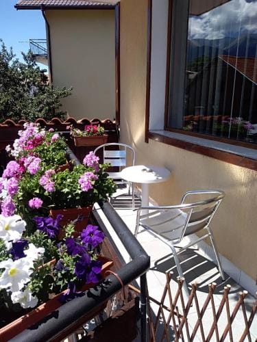 Guest House Planinski Zdravets Hotel in Bansko