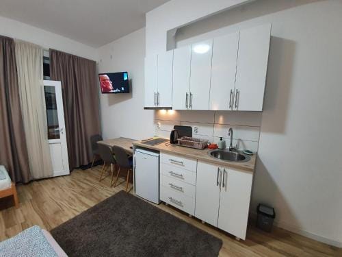 STUDIO VIK Hotel in Serbia