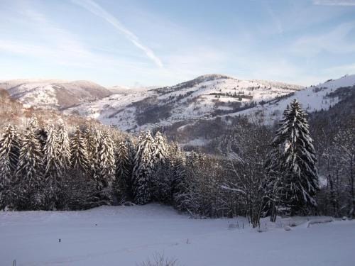 La Ferme du Vieux Sapin Hotel in La Bresse