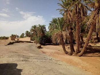 Sahara Peace camp Hotel in Morocco