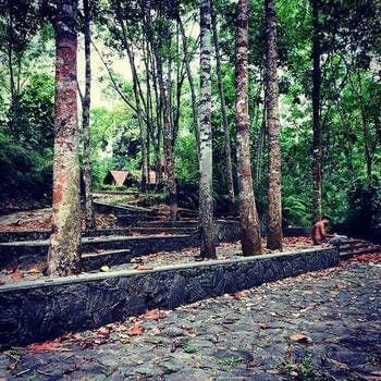 Monsoon Adventure Park Resort in Western Province