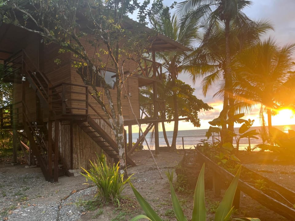Popochos Beach Eco-Lodge Hotel in Choco, Colombia