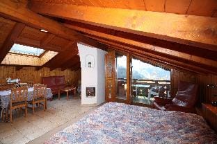Chalet Bouquetin- Blaireau 14 to 18 people Hotel in Champagny-en-Vanoise