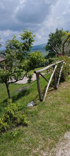 L'angolo degli ulivi Hotel in Umbria