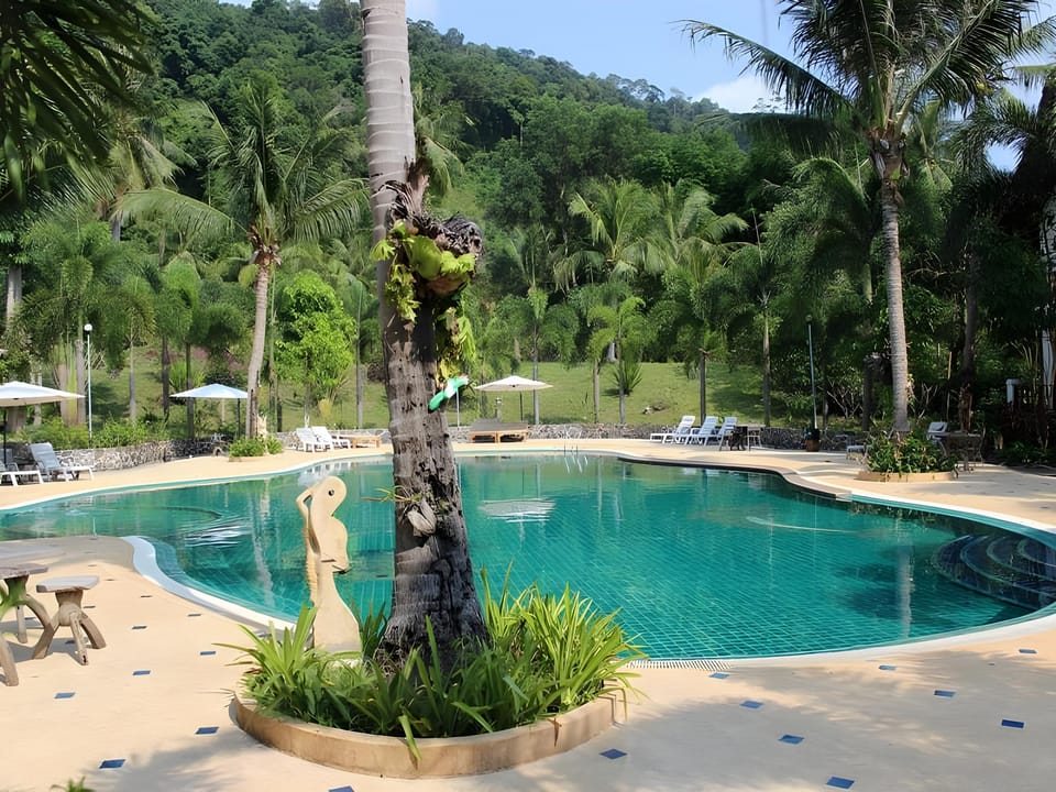 Swimming pool [outdoor]