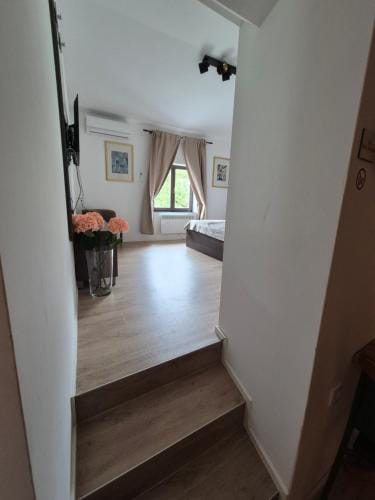 Slovenian House Vida Hotel in Bled