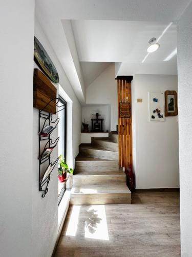 Slovenian House Vida Hotel in Bled