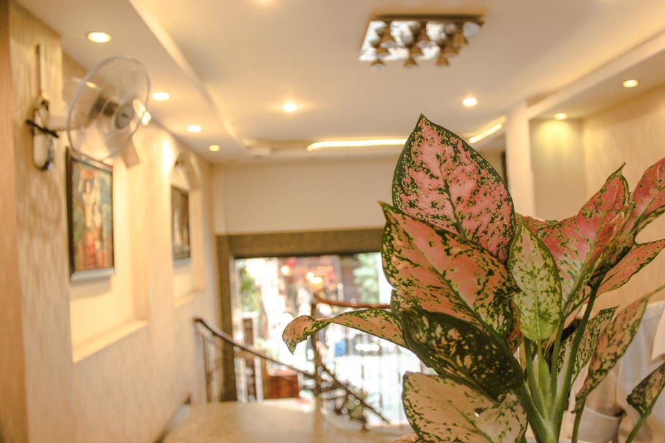 Sao Nam Hotel - Bui Vien Walking Street Hotel in Ho Chi Minh City