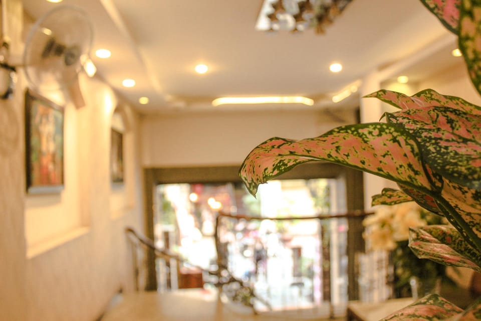 Sao Nam Hotel - Bui Vien Walking Street Hotel in Ho Chi Minh City