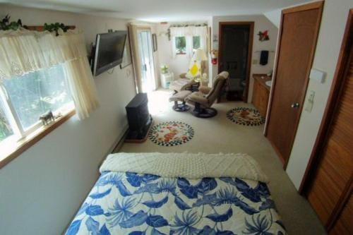 Country Goose Hotel in Volcano