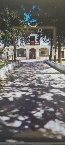 B&B Uliveto Hotel in Province of Foggia