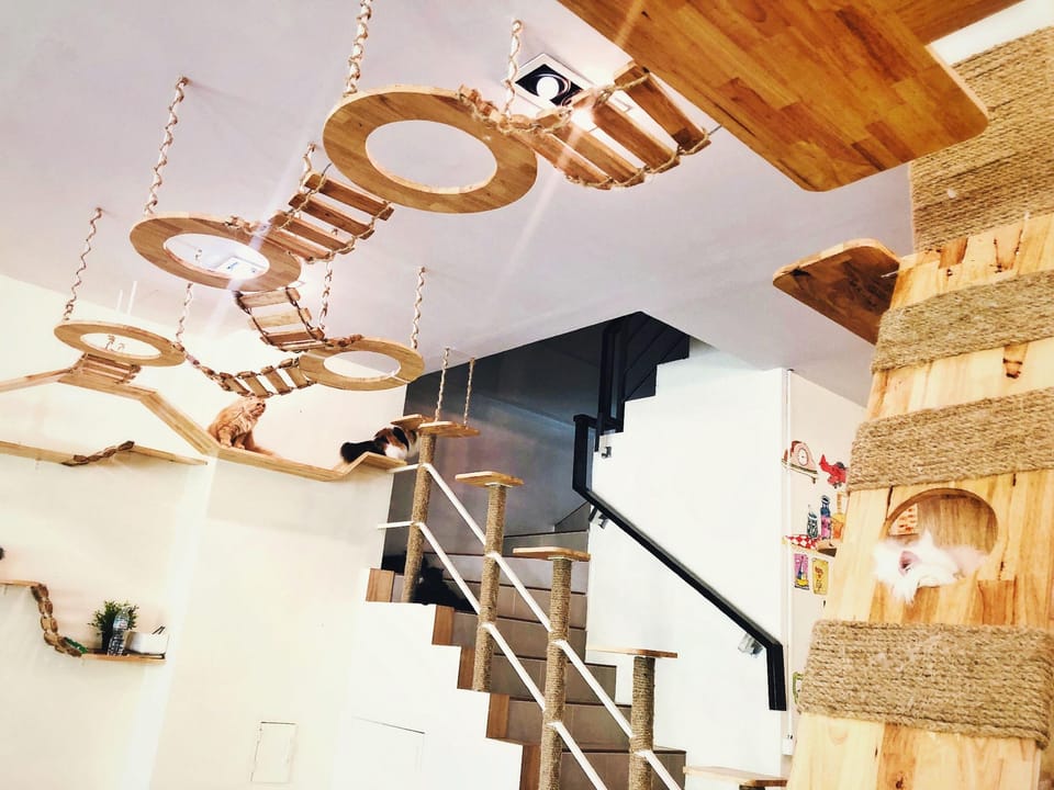 Cat Story Hotel Hotel in Patong