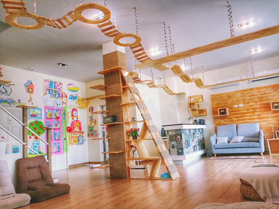Cat Story Hotel Hotel in Patong